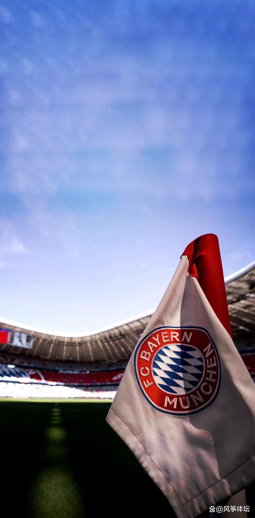 记者：拜仁冬窗新援巴拉恩迪亚耶关节囊损伤，预计缺席三到四周