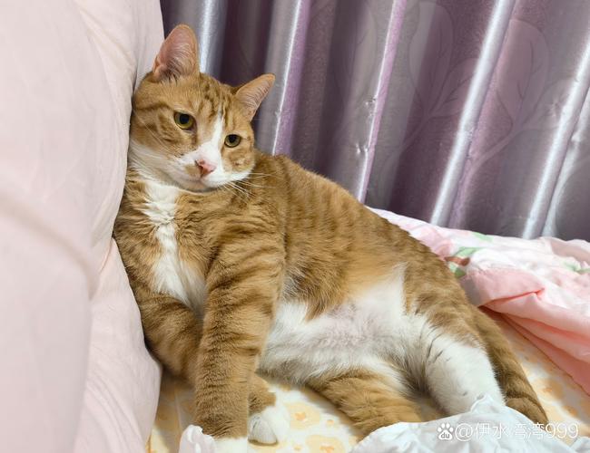 没办法中的办法了!斯潘塞各种硬解半场7中4&三分2中2拿到10分